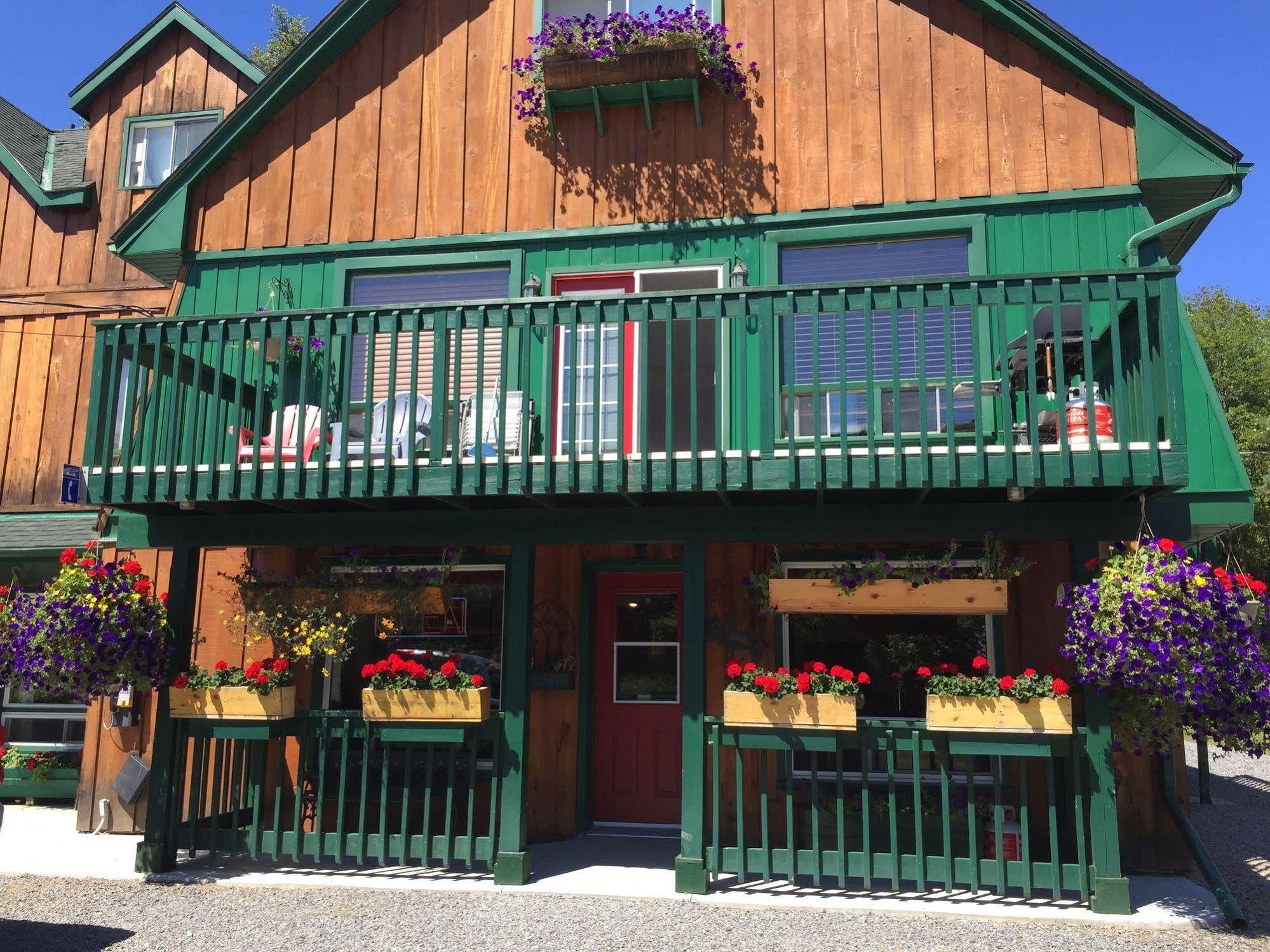 Dwight Village Motel Exterior photo